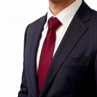 Pre-tied Zipper Tie Mens Skinny Zipper Neckties Satin Wine Black Solid Color Neck Woman Slim Narrow Entertainment Party Gravatas