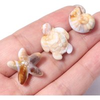 50pcs/lot Ocean Animal Acrylic Beads Turtle Starfish Conch Beads Beige Loose Beads For Jewelry Making DIY Bracelet Accessories