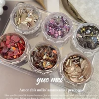 1Box Nail Art Aurora Shell Flakes Abalone Nails Charms 3D Irregular Slice Shell Stone Sequins Nail Art Decoration Manicure