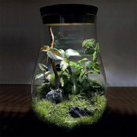 Water Droplets Shape Glass Jars Micro Landscape Ecological Glass Vase with Cork Bryophyte Moss Plant Landscaping Glass Container