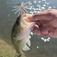Floating Soft Lure 11cm 10g TPE Bionic Sea Urchin for Jig Rig Bass Trout Freshwater Saltwater Tackle Pesca Swimbait Fishing Bait