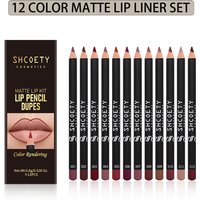 12pcs Matte Lipstick Lip Liner Set, 12 colors, nude, velvet, matte, soft mist, long-lasting, 0.8g*12
