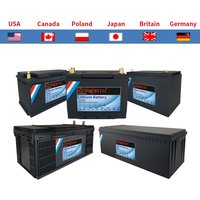 12V 24V 100Ah 120Ah 135Ah 300Ah LiFePO4 Lithium Iron Phosphate Battery With BMS For Golf Cart EV RV Solar Energy Trolling Motor