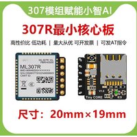 ML307R Module Minimum 4G Core Board Xiaozhi AI Shrimp Brother ESP32S3 Wireless Support AT Command