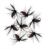 5/10Pcs Black Dry/Wet Beetle Fly Peacock Feather Wings Fly Fishing Flies for Carp/Trout Bait