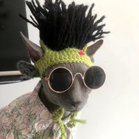 Funny Pet Hat Sphynx Devon Rex Cat Dog Headwear Punk Reggae Rock Style Cosplay Costume Decoration Accessory