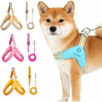 Light Puppy Dog Saddle Harness and Leash Set for Small Medium Dogs Padded Pet Harnesses Shiba Inu Corgi Pug mascotas Accessories