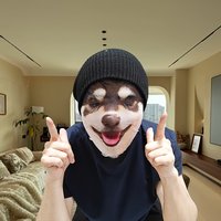 cosplay Mask 1pc- Cute Shiba Inu breathable mesh cover, outdoor outfit and theme party headwear - Festival celebration