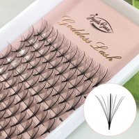 Goddess Wispy Premade Fans Pointy Base 9D/13D Russland Volumen Wimpernverlängerung Einzelwimpern Faux Mink Lash