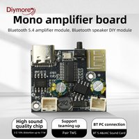 DC 3.7-5.0V Mono Amplifier Board BPM13 Plus BT 5.4 Amplifier Module BT Audio Speaker DIY Module Type C