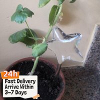 Water Flowers Automatic Watering Device Imitation Bird Shape Lazy Travel House Gardening Dripper Supplies 24x9x1cm