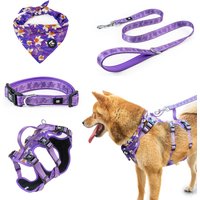 Pet Travel Set - Adjustable Dog Chest Harness / Dog Leash / Pet Bib / Pet Collar, Suitable For Small/Medium/Large Dogs