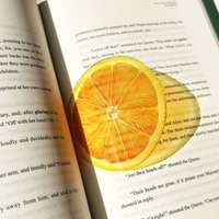 Fruit Bookmark Transparent UniqueApple Apple Grape Tomato Bookmarks Premium Feeling Reading Mark Reading Accessory For Gift NEW