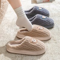 Indoor wool and velvet cute cotton slippers women's autumn and winter 2025 new home thermal slippers men's