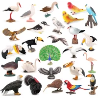 Kiwi Bird Jungle Animals Figures Peacock Phoenix Mallard Turkey Toucan Action Figure Toy Animal Figurines Toys for Kids Gifts