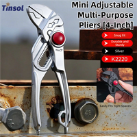 TINSOL 4-inch mini wrench and water pump pliers, multi-position adjustable, household tool for holding pipes and screwing