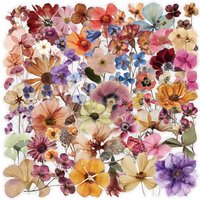 50Pcs Mixed Transparent Retro Dry Flower Stickers Aesthetic for DIY Decor Scrapbooking Phone Laptop Notebook Guitar