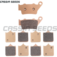 Motorcycle metal sintered brake pads for BMW S1000 RR 2010-2018 S1000R S1000R 2014-2018