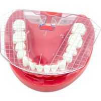 1Pc Dental Guide Plate Denture Teeth Arrangement Instrument Oral Measuring Ruler Complete Denture Alignment Measurement Tool