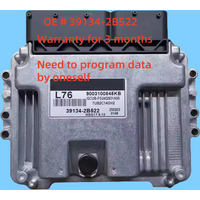 High quality 39134-2B522 391342B522 ECU Car Engine Computer Board Electronic Control Unit MEG17.9.12 L76