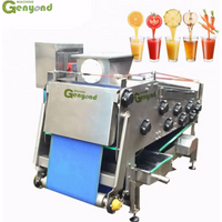 Industrial Cold Press Juice Extractor Fruit Juice Making Machine Belt Press Juicing Machine Apple Juicer
