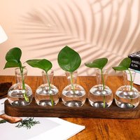 Modern Glass Plant VaseTerrarium with Wooden Tray Desktop Plant Propagation Station Hydroponic Vase Home Decor Planter Lover