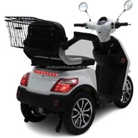 60km Long Range 3 Wheel Heavy Mobility Scooters 1000W Lead Acid Battery Electric Scooter for Seniors with Bask