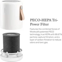 Replacement PECO Filter Keeps Indoor Clean for Molekule Air Mini and Air Mini+ Air Purifiers