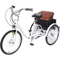 3-Rad-Familien-Elektrofahrrad mit Kinderfadenadaptern, 48 V, 350 W, leistungsstarkes elektrisches Dreirad für Senioren mit abnehmbarem Korb/Batterie