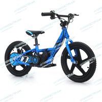 16-Inch children's electric balance car scooter racing electric car lithium battery off-road disc brake