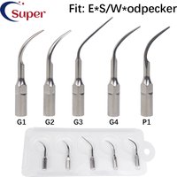Dental Scaler Tips Ultrasonic Scaling Tip Fit For UDS Dental calculus removal G1 G2 G3 G4 P1 Tooth Whitening dentistry material