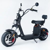 Factory Hot Selling H10 Cheap and Good Quality Fat Tire Citycoco Electric Scooters 2000W 20Ah Double Lithium Battery Inside city