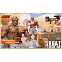 NEW Original Storm Toys ST ARENA3 1/12 ARENA KEN SAGAT RYU WF2025venue Limited Color Matching in Stock Anime Figures Model Toys