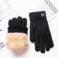 AliExpress Warm Touchscreen Gloves for Men Women Unisex Winter Thermal Thickened Windproof Cold Resistant Gloves Outdoor and Daily Use