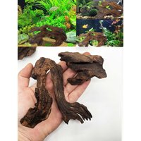 3PCS Natural-Look Driftwood Set for Aquariums – Vibrant Fish Tank Landscaping, Durable & Fish-Safe Decor