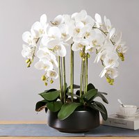 Artificial Phalaenopsis Orchid: Maintenance-Free Long Stem Design, All-Season Use, Suitable for Home/Wedding/Office Decor