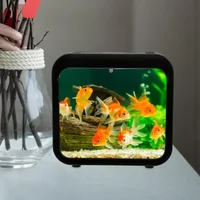 Transparent Betta Fish Tank with Water Grass, Plastic Double-Grid Betta Isolation Box, Single and Double Grid Aquarium Fish Tank