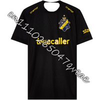 T-shirt for Men Summer Sweden Football Short Sleeve T-shirt 3D Print AIK Fotboll Jersey Kit 25-26 Home Jersey Kit