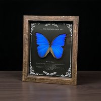 Real Blue Butterfly Specimen in 10-Inch/8-inch Wooden Frame, Museum-Inspired Wall Decor with Gift Box
