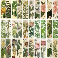 30Pcs/Set Vintage Botanical Bookmarks, Retro Floral Plant Paper Book Marks for Books Reading Stationery Gifts for Book Lovers