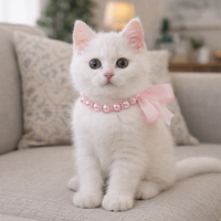 Adjustable Pet Pearl Necklace Bling Simulated Pearl Cat Bead Collar Elegant Bow Knot Ribbon Pet Simulated Pearl Collar
