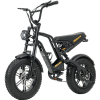 AliExpress Hidoes Electric Bicycle 500W Motor 48V10.4AH Battery Electric Bike 16-inch off-road Fat Tire Mountain Double disc brake E-bike