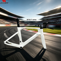 CECCOTTI Factory TT Bike Frame T47BB And Disc Brake carbon frame fully hidden cable triathlon Bicycle Frameset