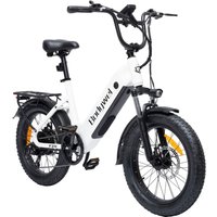 AliExpress bodywel Bodywel F20 Adult Electric Bicycle 500W motor city ebike 48V13.5AH E-bike 20 Inch Fat Tire E-Mountain Bike