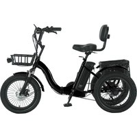 Factory Direct Sales New Stylish Customizable 3-Wheel Electric Tricycles Steel Electric Trike for Families and Shopping