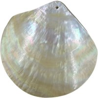 1pcs Natural 60mm big Seawater Golden Shell Pendant Jewelry Making DIY Necklace Accessories Gift