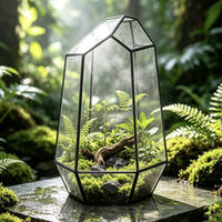 Terrarium en verre géométrique irrégulier, forme de quartz, pot de culture pour micro-paysages de fougères et de mousse, contenant de terrarium pour succulentes à poser sur table