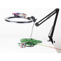 Desktop Ring Light with Stand for Cell Phone Video Shooting Song Lighting for Product Photography Streaming Photo Ringlight