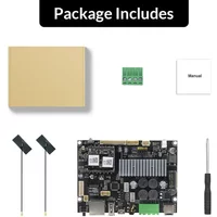 Arylic Up2Stream Amp V4 Hi-Res Stereo WiFi Streaming Amplifier Board, Multiroom Audio Wireless Playback for Home Audio Systems
