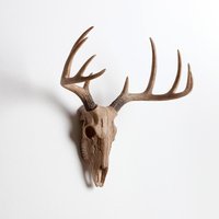 Animal Heads Wall Decor Animal Figurine Realistic Head Sheep Skull Head Wall Decor for Hallway Office Porch Collector Garden